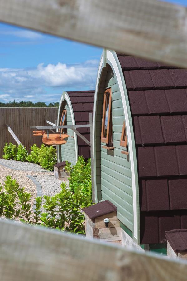 Camping The Pods At Streamvale Gilnahirk